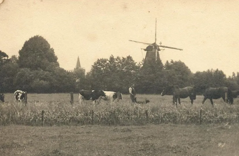 hoevelaken molen