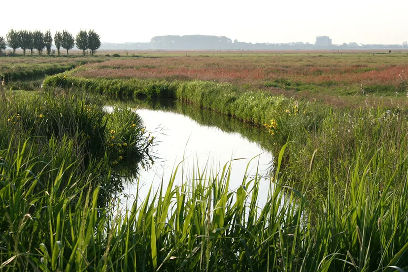 hxb750dv2s9qmmdoxduwlmqmt arkemheense polder