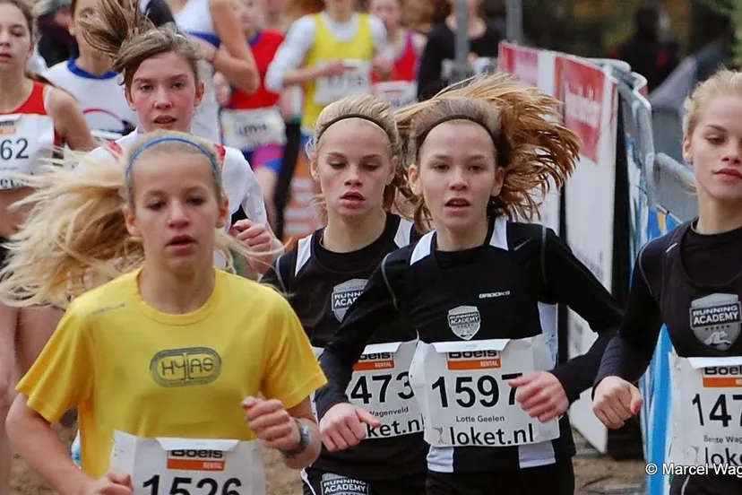 hyguy4euroo4bsdru9zq18cd9 2013 11 24 wagenveld