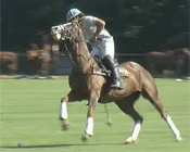 i21njb796wi3w8rgrsg4b5qza 173220