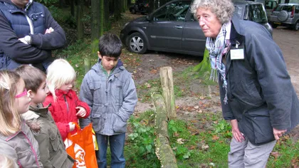 ibmhzikfksngdks70u6bxbgjd 30251