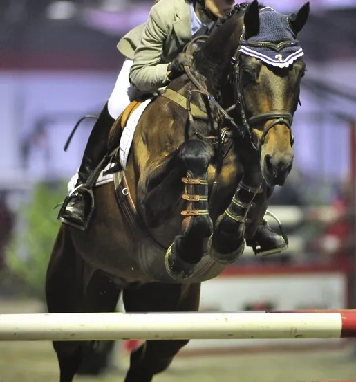 ikaz8mi7yifshlihm4wy28t4y 212891