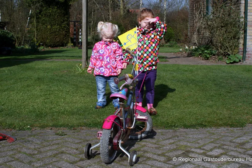 imb6qqry11v716pdlphypc8xx 2014 03 06 harlekijn