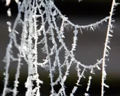 ionpaojgekvbm0aak7w7ri7gv 193767