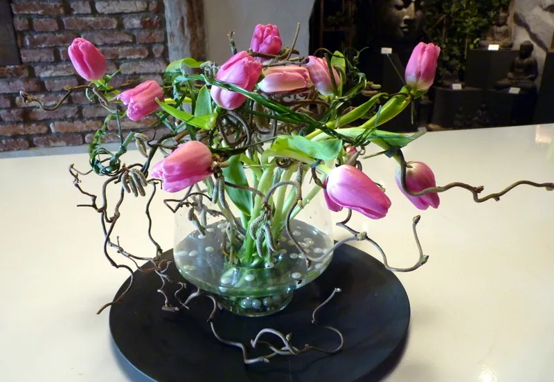 istjqu35q4cbzi5zuyvzuqnrz 204502