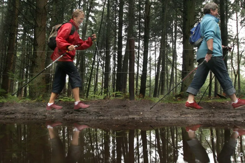 j0l8gzgm6ouz9rtegpdu1pqf6 nordic walking