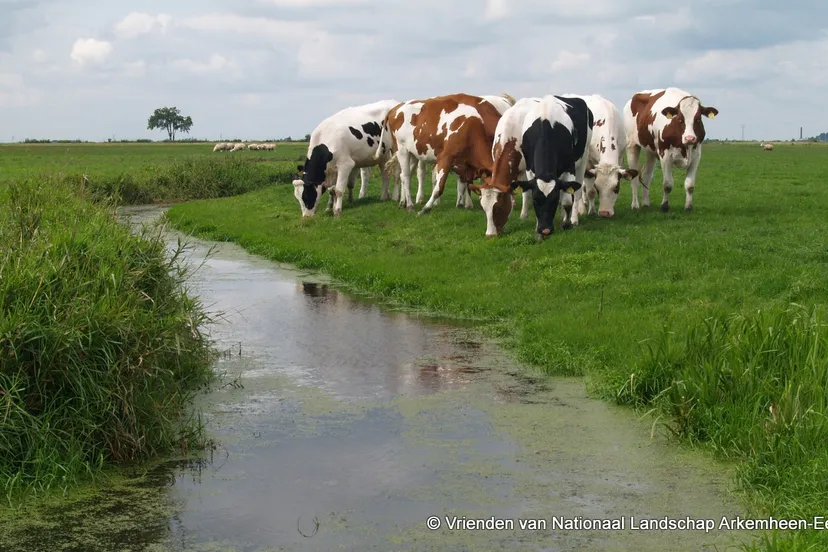 j4bbe5g0ro48l2d92gfl7r4q8 polder arkemheen 3