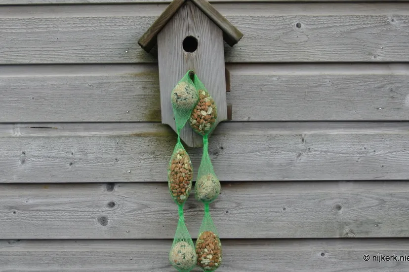 jj7lkabljmiikn521uvmgu1ou wintervoer vogels