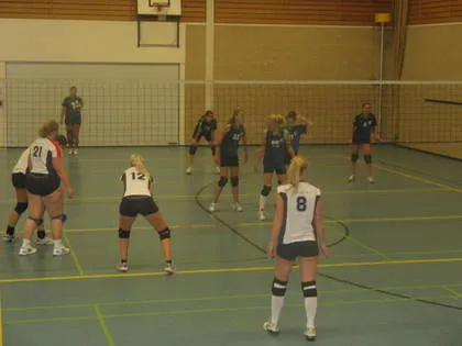 jsyrledu9xoisaujz5pbe9sdh 31229