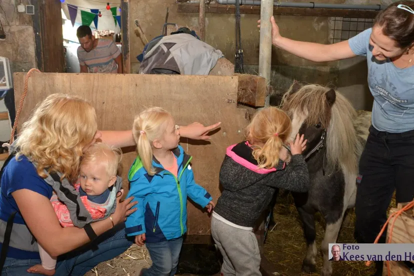 k2017 08 30 kinderboerderij de ark pony kussen 1