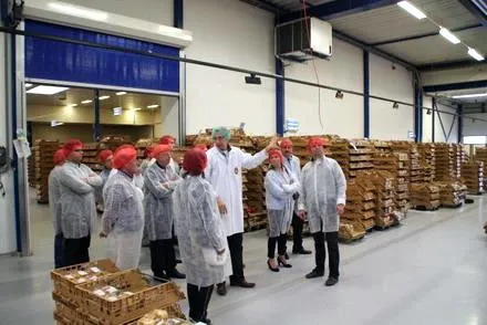 kec9ntbn8cl7szbt0zhh4xr81 133601