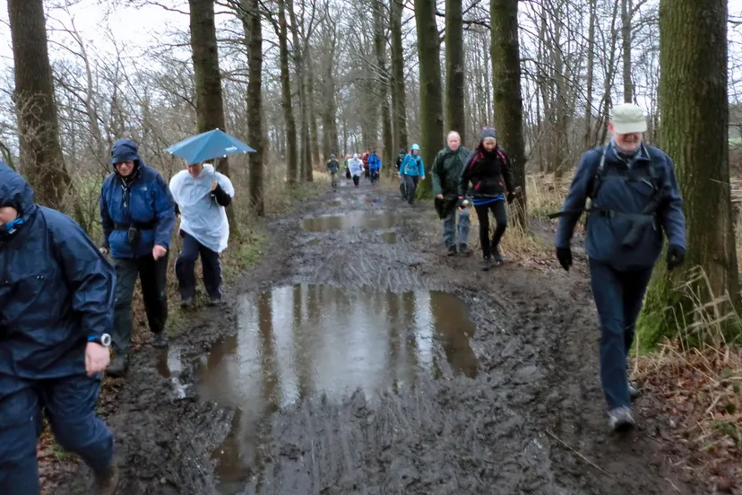 kgjd3sae0683p4ko1372pvbl7 2014 02 11 hoevelakense valleitocht