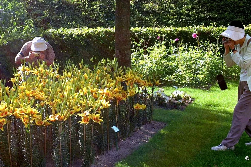 kie5gxlk951t6ihs2xiyoj0as keukenhof