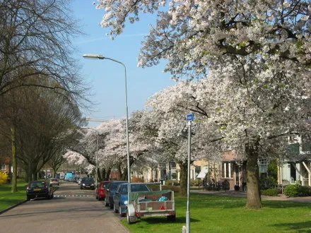 kinpa5a2sk6ry78pqk6w9k7xa 131415