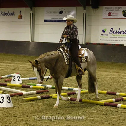 krtpcnza0tyra4hhj5vj6d27n 133306