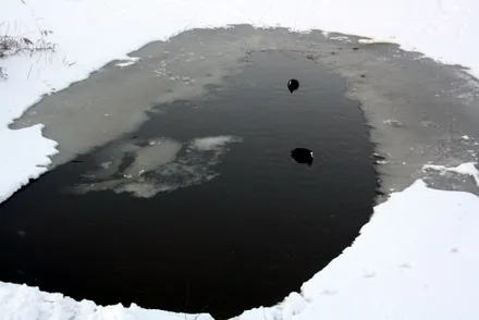 l5xx2bwpawqenpargzqevuu4l 115897