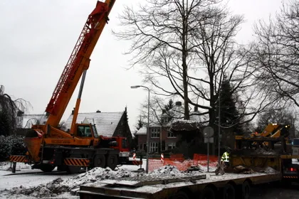 l9gjlwt8rcn1c66wicfcq2jcz 36258