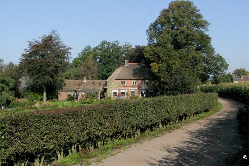 lnyreeyrbhvmeh0fwuui8p9xa wfapix 3