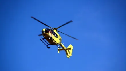 m0reqn9bis08nfvhpj4xtw1ix 52736