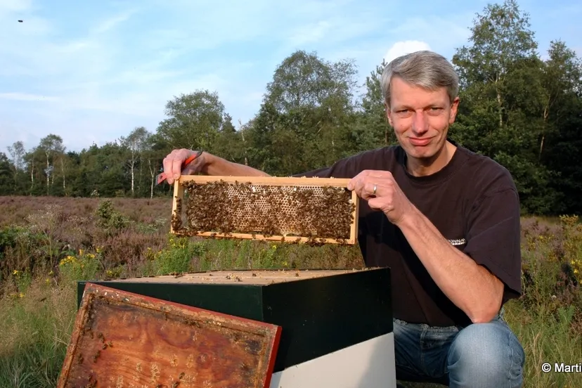 m26dqigdtlrrvbst0ms5ptlnr 2014 04 02 bijen 1