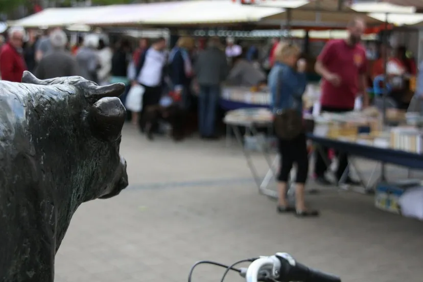 m7o9jvk6jgtuikdrac4jo5nmq markt