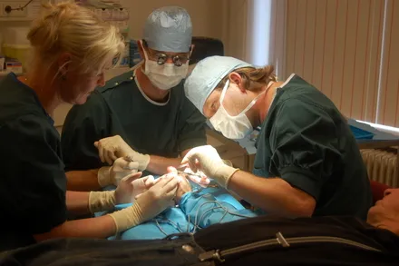 m976dwstjq4sd1qjteo2wy0j6 186182