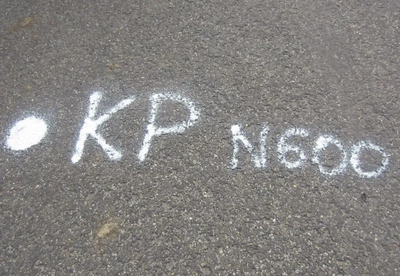 me19d4buiqno8e1uayoh4vksc 227970