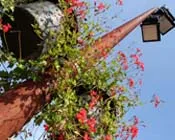 mk3up67bui06zi9w5mlub47qb 133389