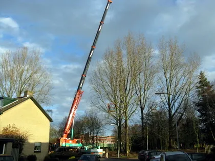 myp41w81yshy91xdzxh2bfmj8 35229