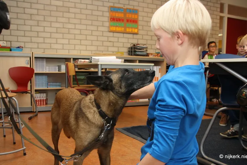 nhhyvh71f18qezusfeoch6jhb 2013 11 08 hondentaal 4