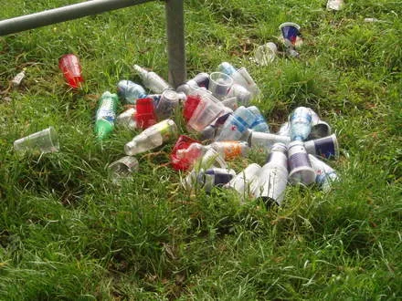 niu7bpydskw8zwk7b5aeel9l2 76110