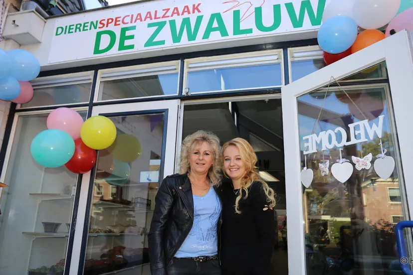 nntyjz85w8gf5t6x5e33u2y7m 2014 11 30 de zwaluw