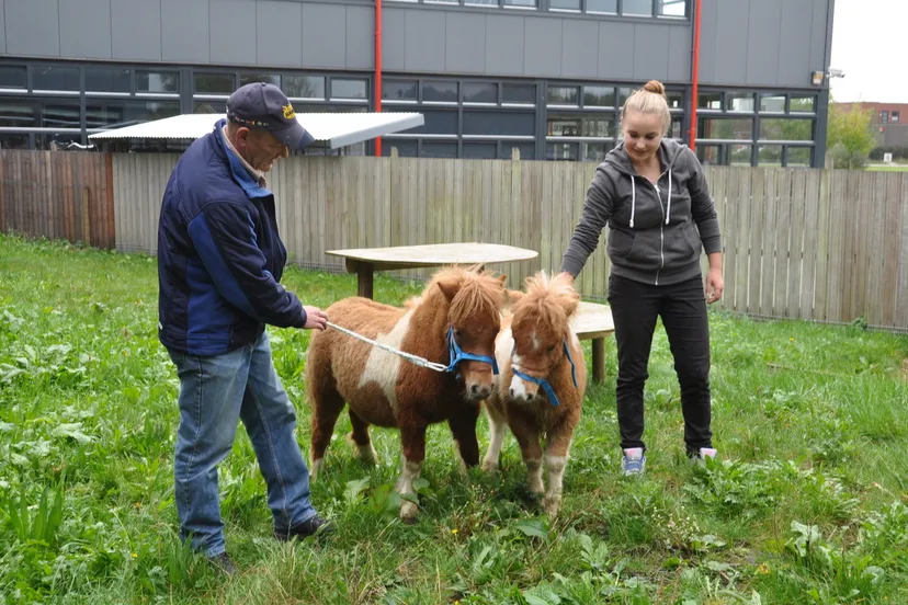 nwolm5i3aifnonp0b12lz09py 2014 10 30 accent willem van domselaar en hennique domselaar