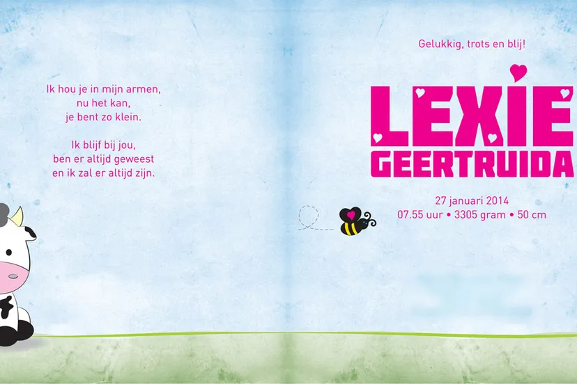 oazjtp5nck7407k635mg6hk5n geboortvoorbeeld