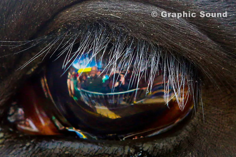 ofesfsn8l0usecyfvxsjgauuk 2014 04 14 boerenmaandag 016