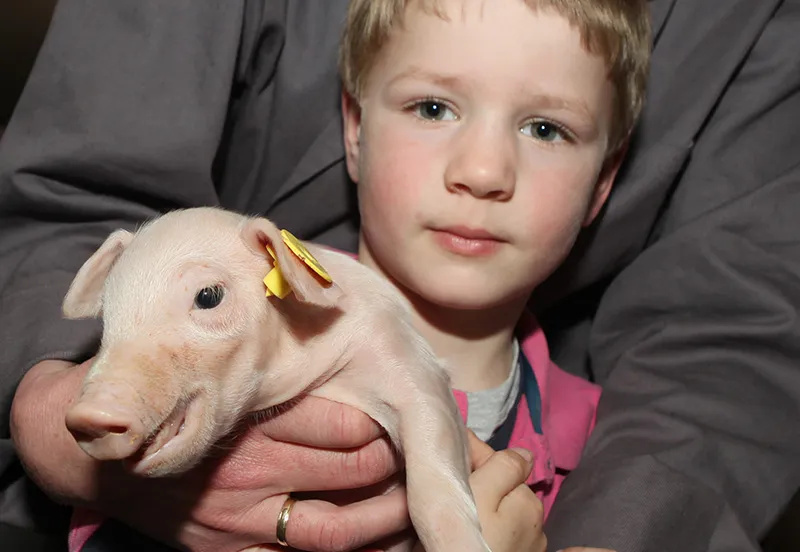 ofk08usjxu2fb6tn564bd58ia 2013 04 13foodvalley4