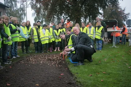 oint7dgsisegfx4v3obexpu25 31429