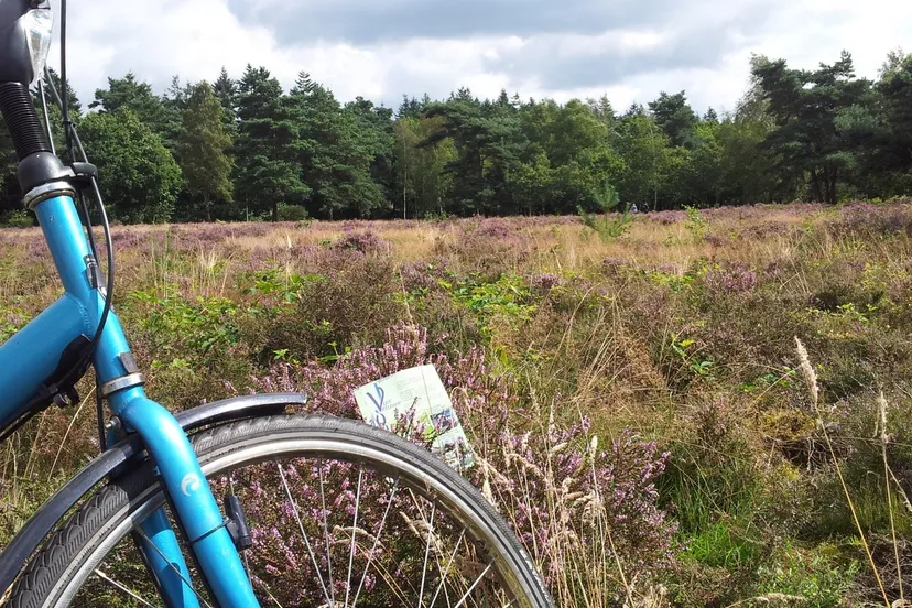 orl4s3c5tiua3ztfe5kqqqzhh 2014 08 09 fietsheidevv