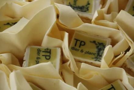 ory69ehevvwpx9ygj044mtp6g 84096