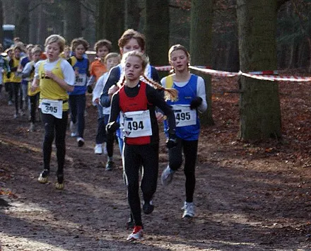 oy2kkrt8k6do6e6yf05cmh3f8 104932