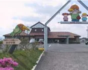 oy96mxk1dl5hc01uyqr7t5f34 191604