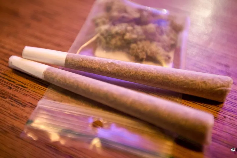 p1t366xmt2y5j75rfcz2v7gv5 joint