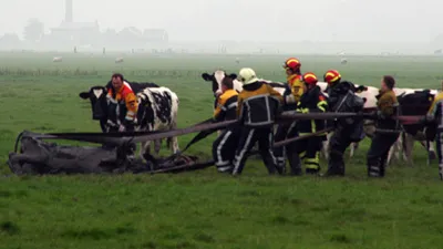 p2l1z0xze01isic7k5s65i7eo 27637