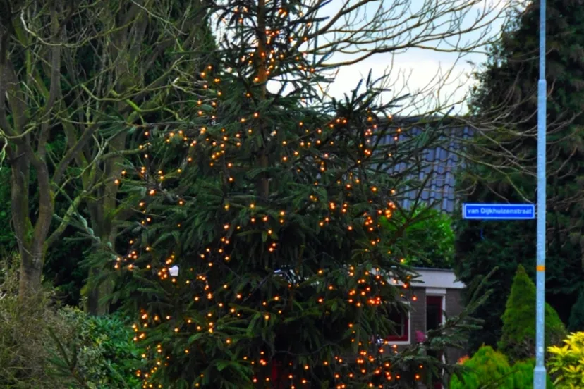 p3g0p0iznkaz1ebocv4grvo1b 2013 12 07 kerstboom2013nijkerkerveen 001