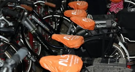 pad1n23nzsevokziir5dgmtyq 70410