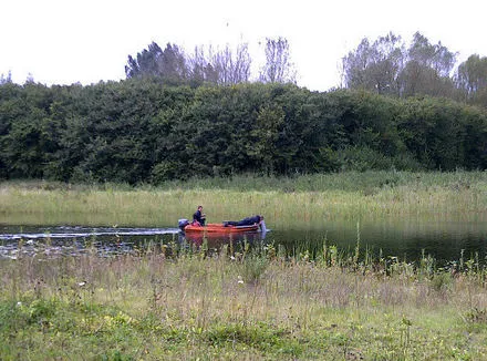 periyljo2fd9r778iihr3sx2c 85532