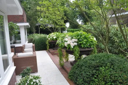 pi2n6mnksp7e4bf1o98mmyqnc 187565