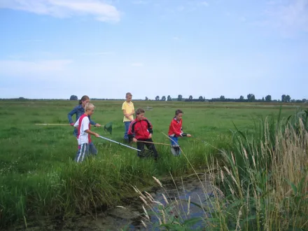 pmyra0izvwy1fqh0q2i0ijzdv 92003