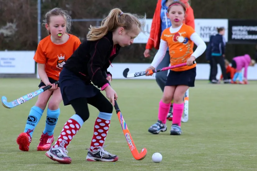 pu9iutxarvn68rljmnkinaz80 2014 03 23 hockey benjamin