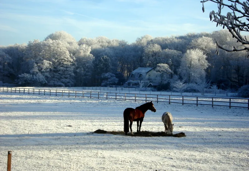 pufrme0fr79y7iyiui2k3uz3a 196647